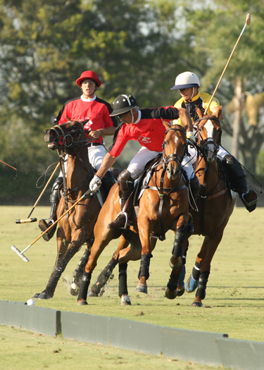 Photos- Alegria vs. Faraway