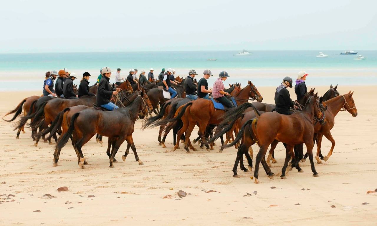  Media Call: Horses Arrive for Airnorth Cable Beach Polo (Wed 23 May, 9am)