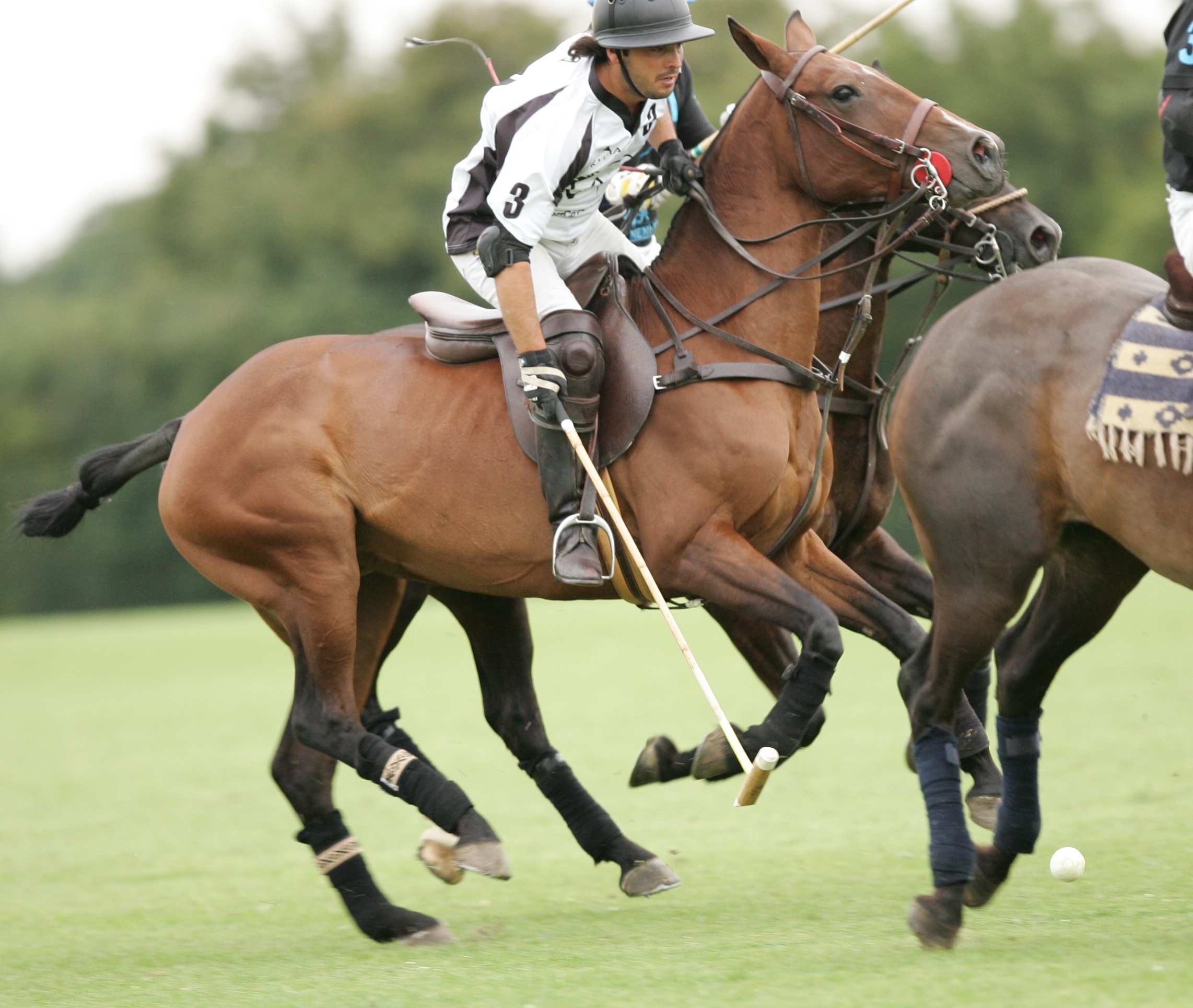 Silver Leys: Polo y 